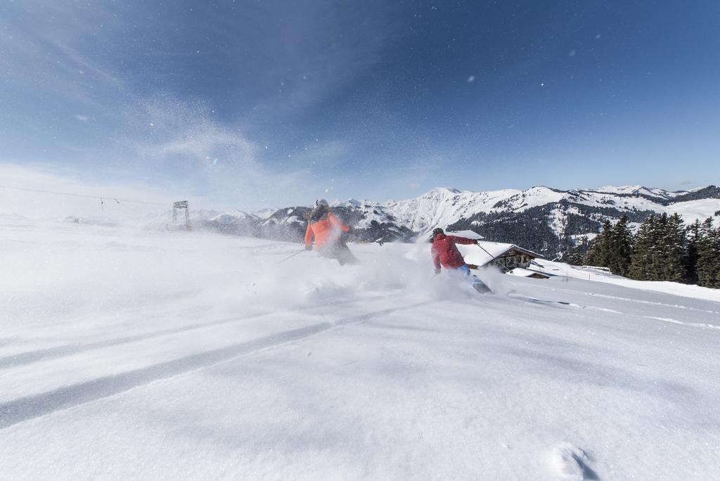 Apartchalet Almliebe Maria Alm am Steinernen Meer Luaran gambar